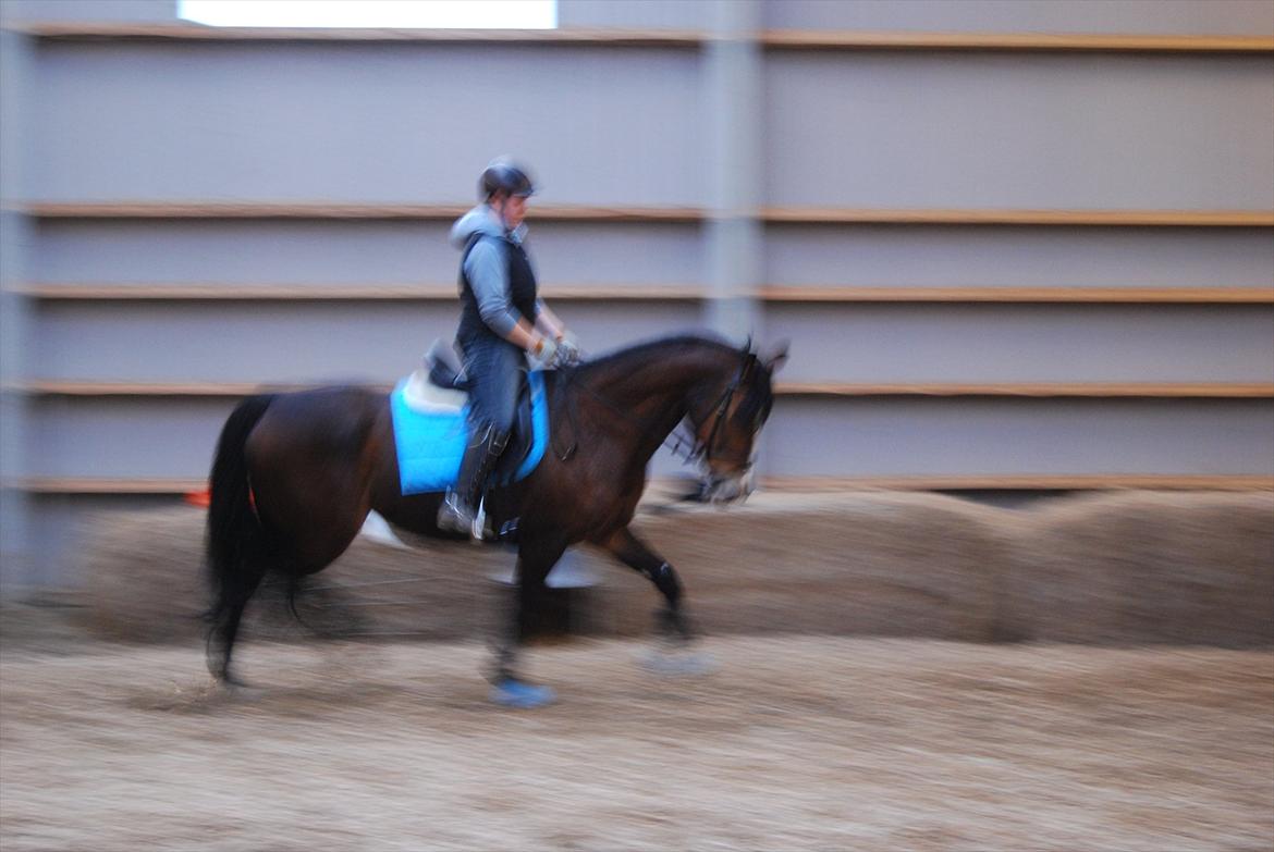 Oldenborg Korea billede 14