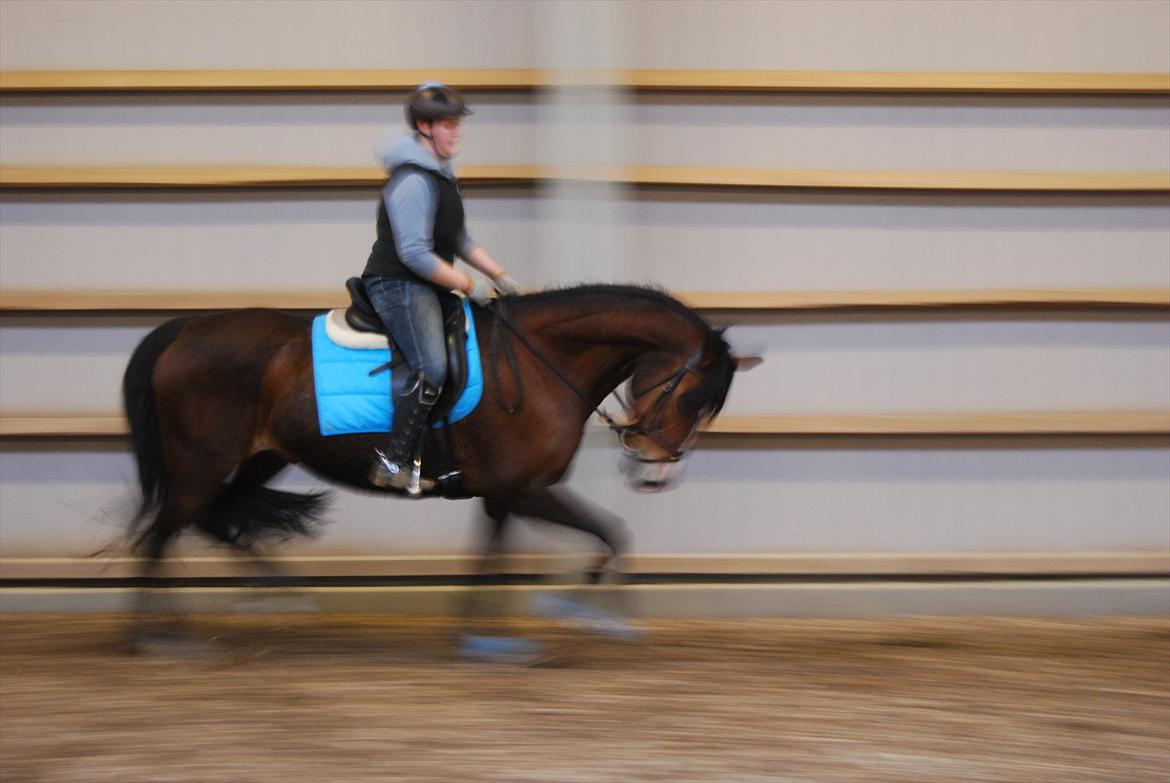 Oldenborg Korea billede 15