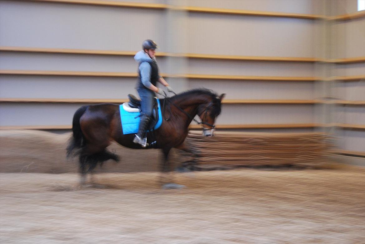 Oldenborg Korea billede 16