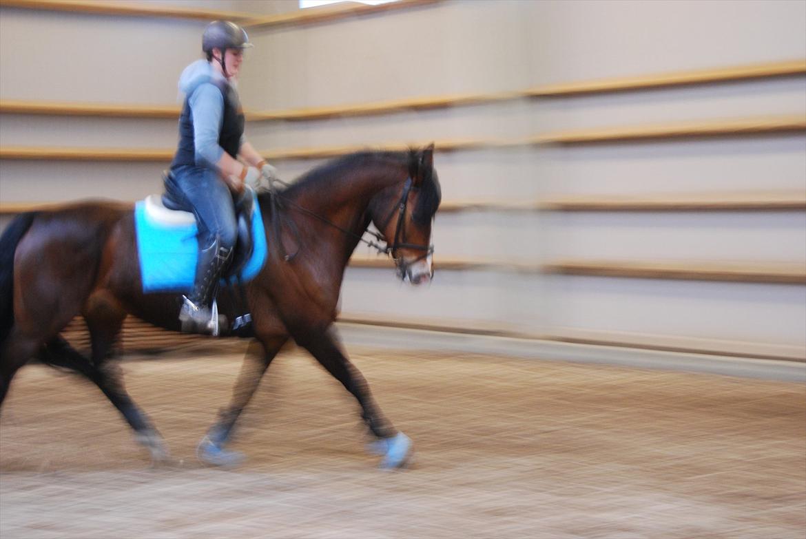 Oldenborg Korea billede 17