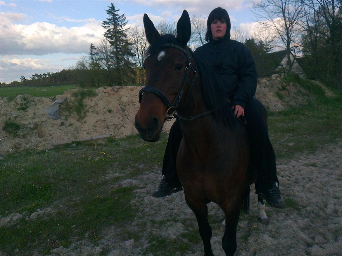 Oldenborg Ulrikke af hvarre  billede 3