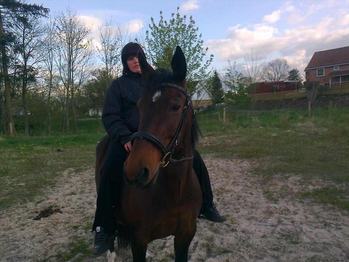 Oldenborg Ulrikke af hvarre  billede 4