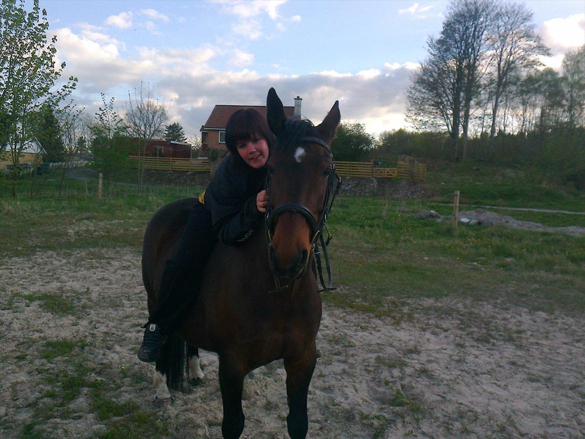 Oldenborg Ulrikke af hvarre  billede 5