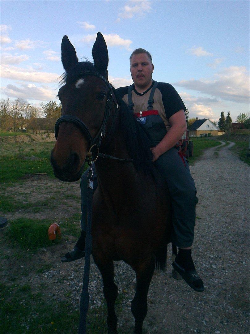 Oldenborg Ulrikke af hvarre  - Det er  år siden af hun har haft rytter på og det er første gang min mand sidder på en hest :) Stolt billede 6