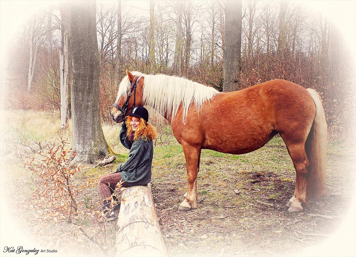 Haflinger Birch's Currin - currin og jeg poserer (eller prøver på det). currin er 9. måneder henne! 
foto taget af katja gonzales :) 2012 billede 15