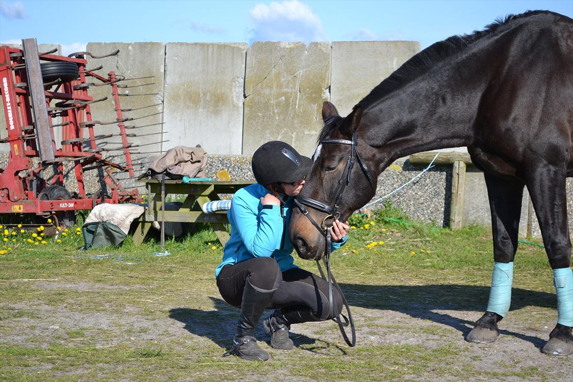 Anden særlig race Chiffon la bevuee billede 11