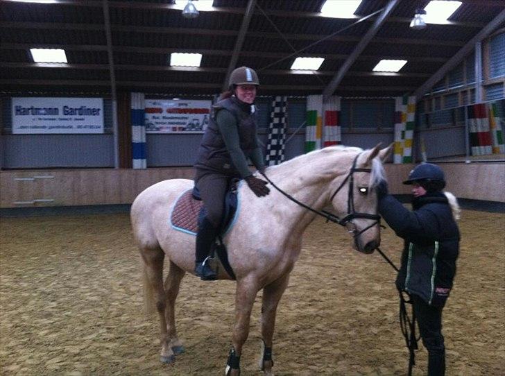 Palomino Kærgaardens Ripasso - Første gang på ryggen af ham billede 15