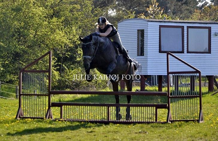 Oldenborg Selta Højbo - Selta til springtræning, foråret 2012 :-)

Foto: Julie Kaihøj billede 5