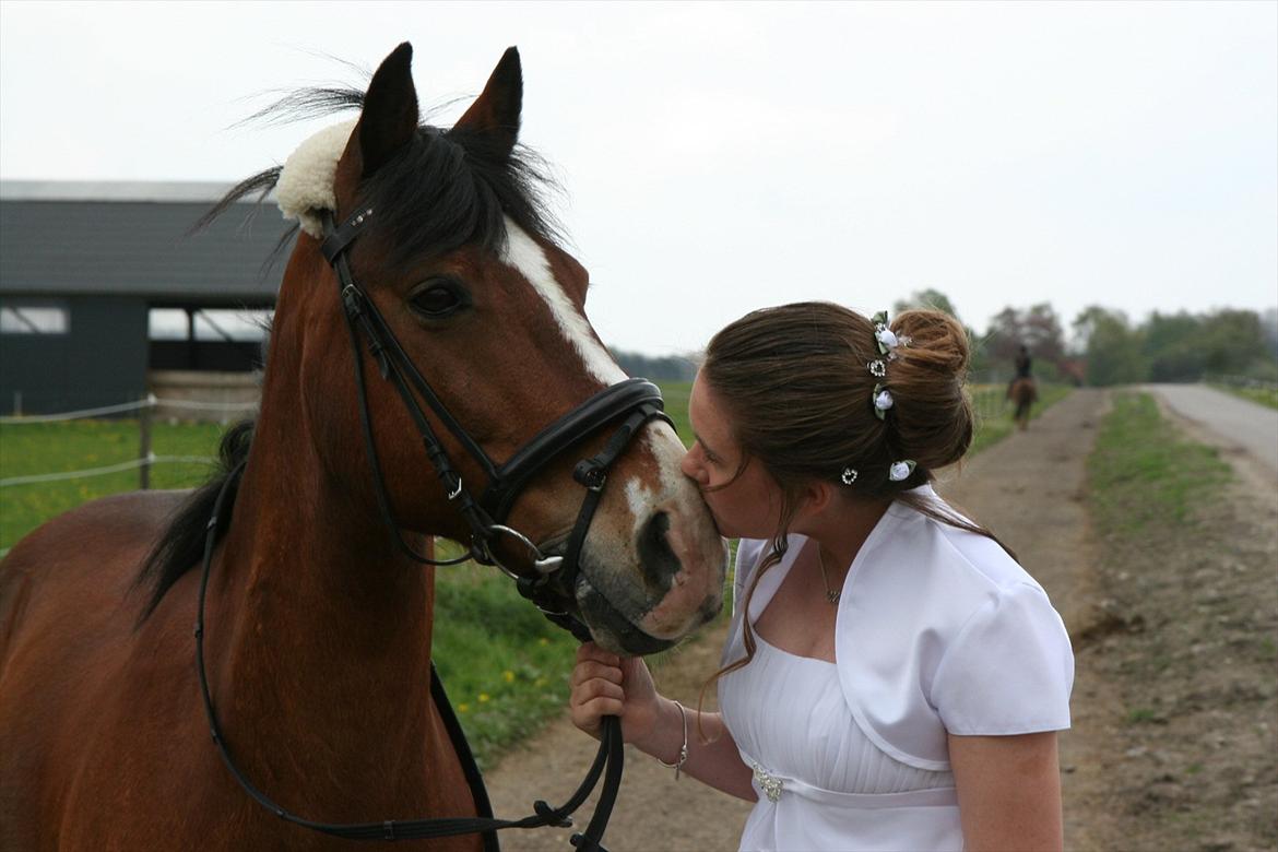 Anden særlig race Benjamin  <3 (savnet :'( <3 ) - ja hvad kan jeg sige? :') 
er snart for stor til dig MEN at være ved siden af dig er noget af det bedste jeg ved!!!! <3<3<3
taget den 4 maj-2012 billede 1