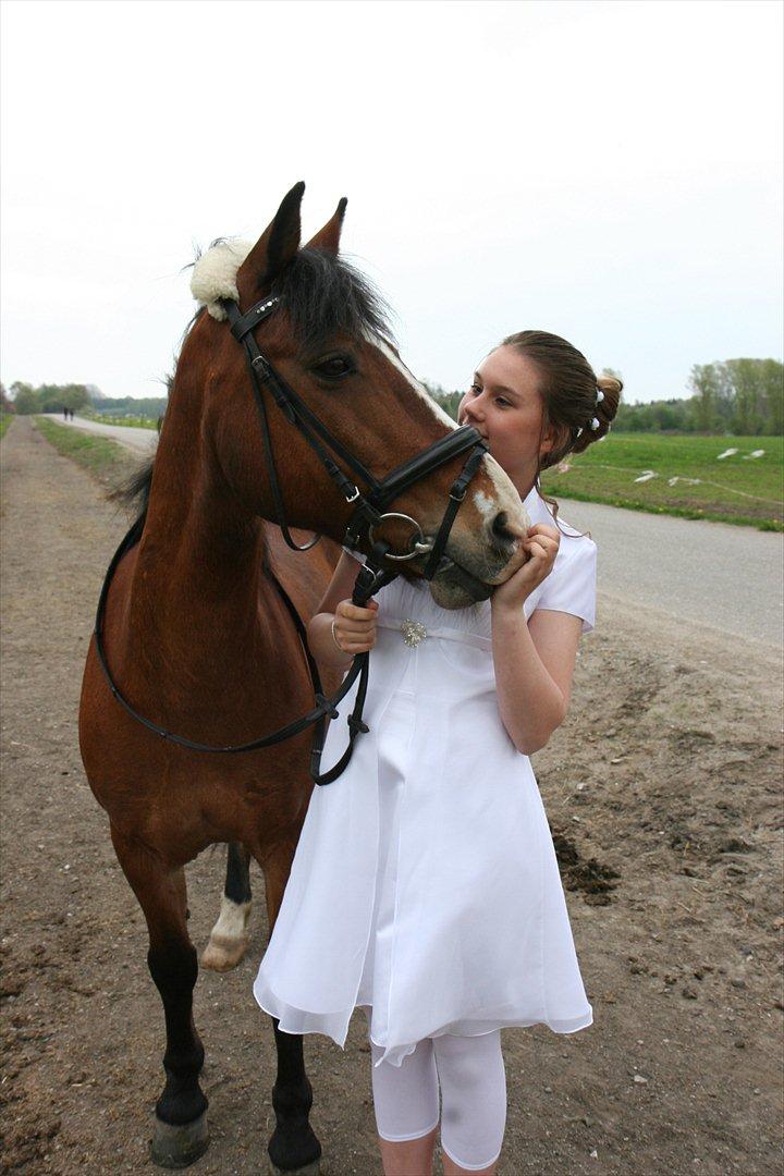 Anden særlig race Benjamin  <3 (savnet :'( <3 ) - til min konfirmation den bedste dag i mit liv! :')
taget den 4 maj-2012 billede 18