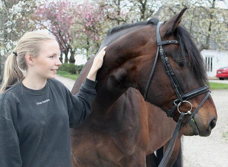 Oldenborg Malic Lilholm R.I.P - Min makker gennem to år nu, tak fordi du hjalp mig igang igen efter ulykken <3 Foto: Julie Erlang billede 1