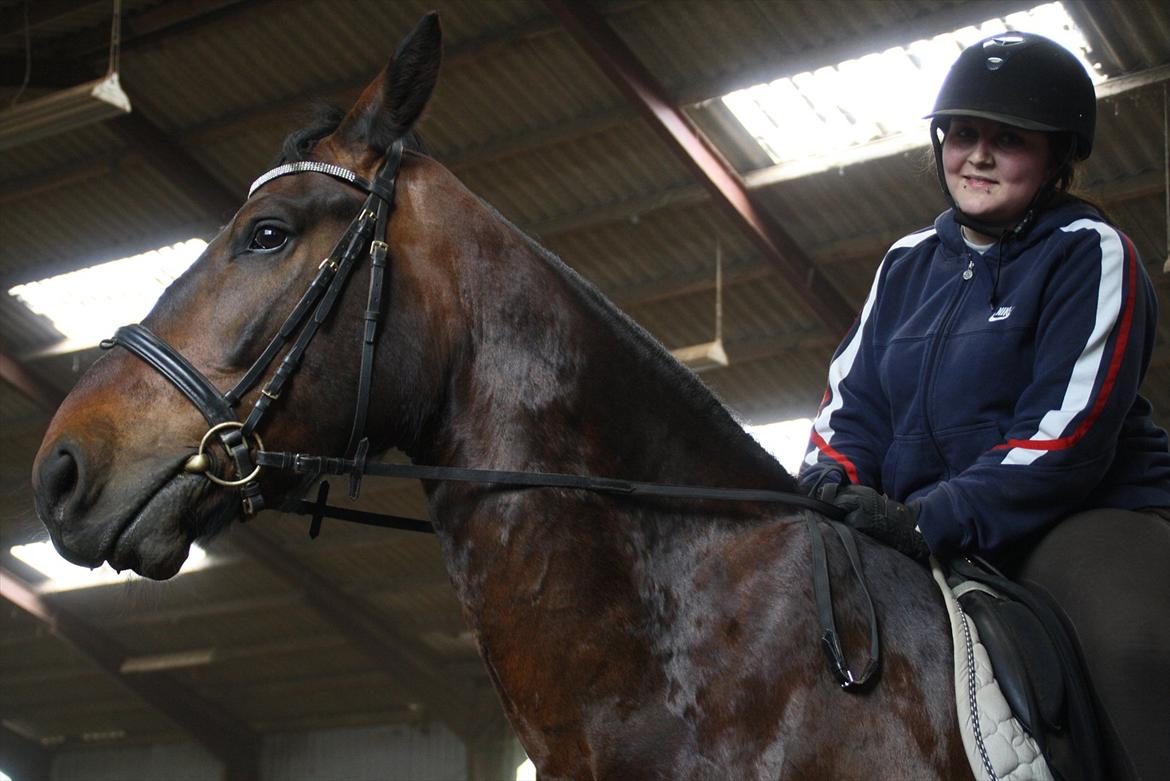 Oldenborg Markus af lundsager - Markus og jeg billede 9