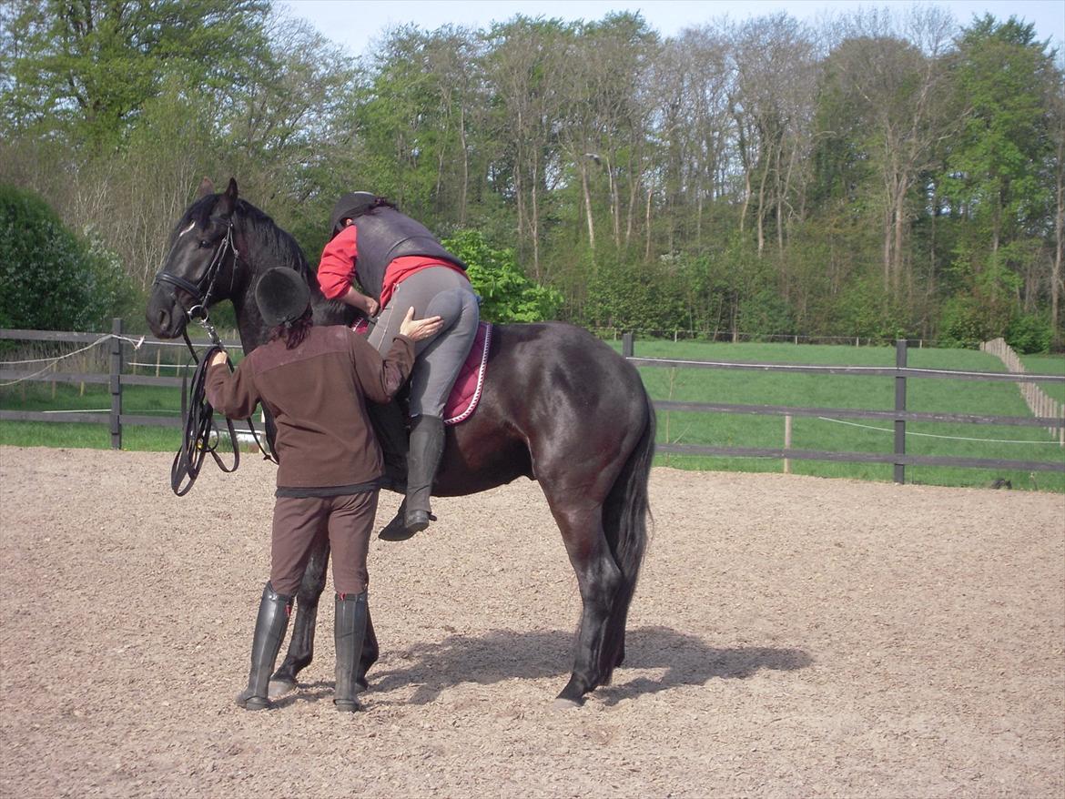 Anden særlig race Sir Lucifer - lidt hjælp når man er tung i røven gg billede 3
