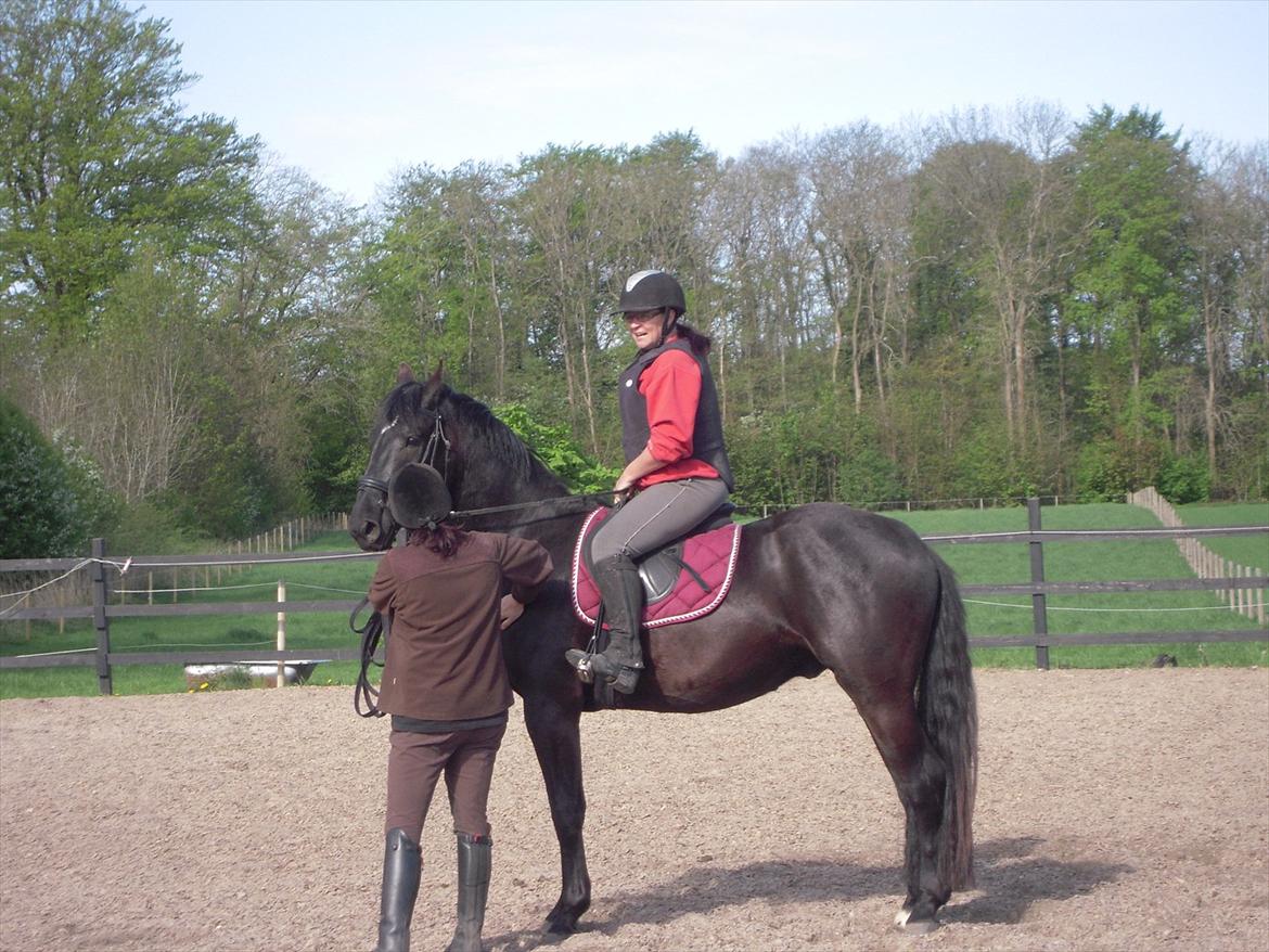 Anden særlig race Sir Lucifer - så sidder jeg der.. billede 4