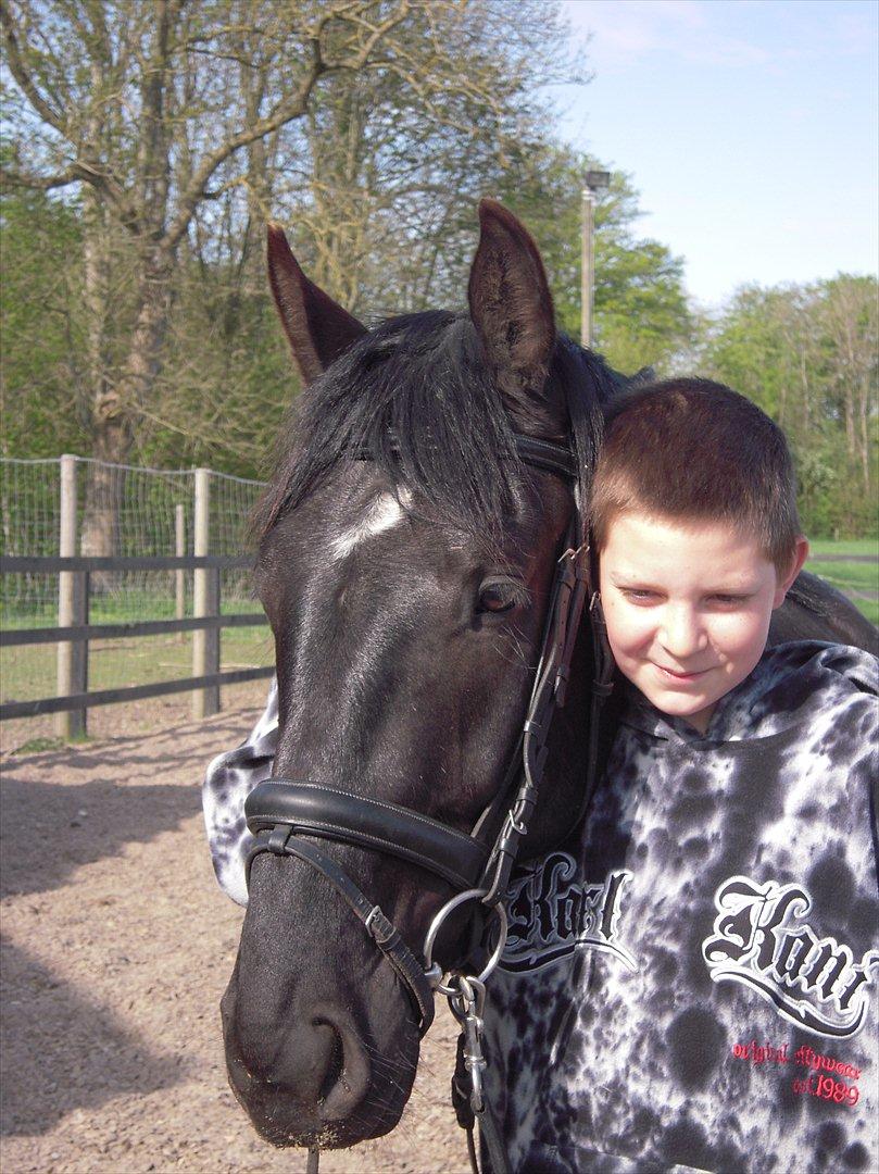 Anden særlig race Sir Lucifer - emil og lucifer krammer billede 7