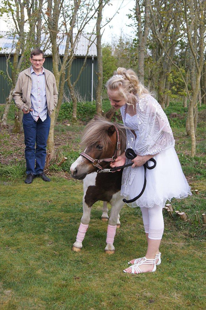 Anden særlig race Tøsen (Vænni) - Vænni blev brugt som sangskjuler til min lillesøsters konfirmation d. 5 maj 2012 :) billede 19