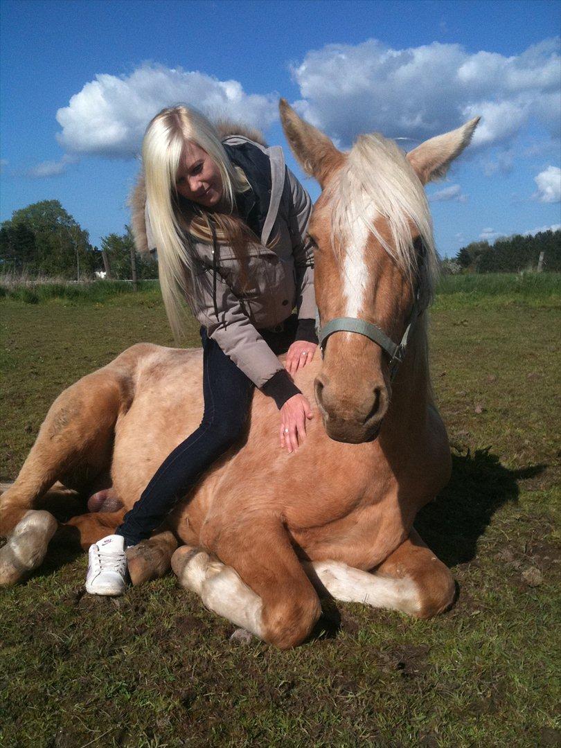 Palomino Ga' Cool Cash billede 18