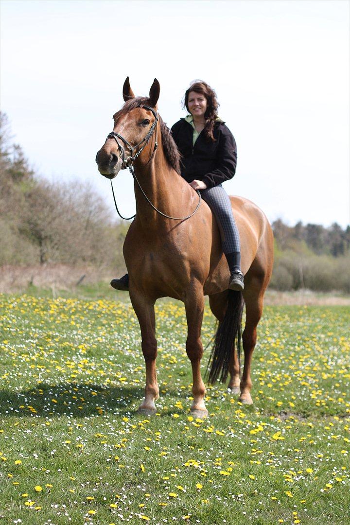 Frederiksborg Santos billede 12