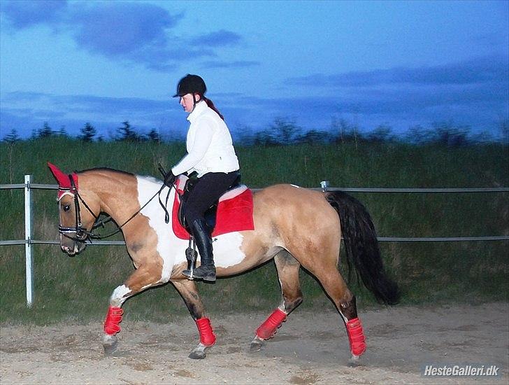 Anden særlig race Lunderskovs Watch Me billede 7