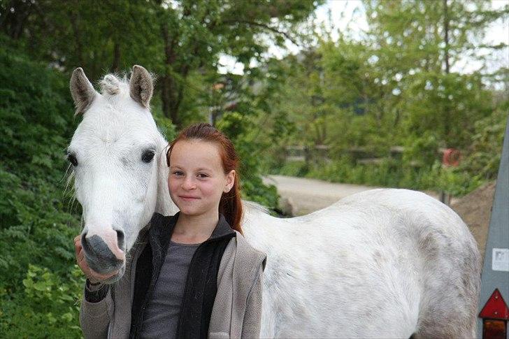 Anden særlig race preben "tidl. passer" - Smukke preben og Emily <3  billede 20