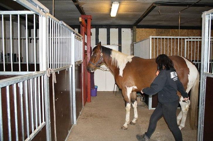 Paint Silent Shooting Star (Spooky) billede 10