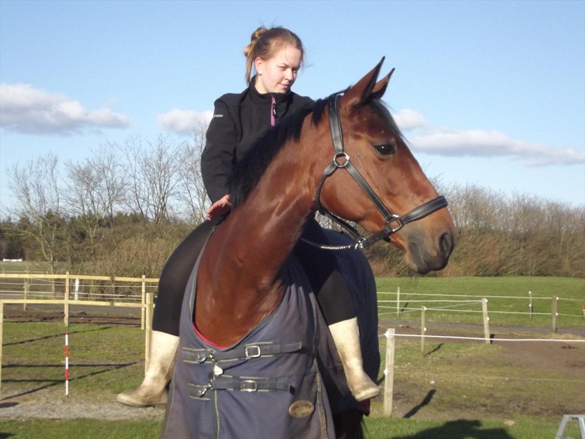 Anden særlig race Nikita   *TUTTE*   >>VBH<< - 5/ Min bedste ven! TRONSØSKOLEN 11/12! (Foto: Camilla Pihl) billede 5