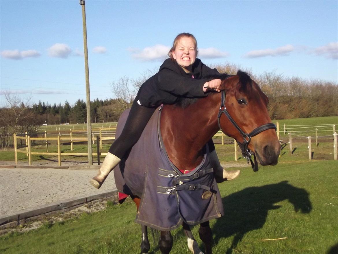 Anden særlig race Nikita   *TUTTE*   >>VBH<< - 17/ Kan gøre alt med dig! TRONSØSKOLEN 11/12! (Foto: Camilla Pihl) billede 17