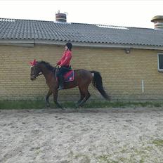 Anden særlig race Lindhovedgårdens Mona