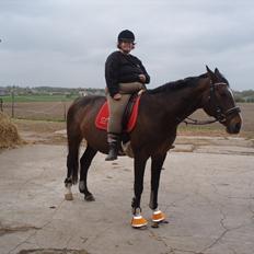 Dansk Varmblod tamara 9402182 R.I.P lever i vores hejerter