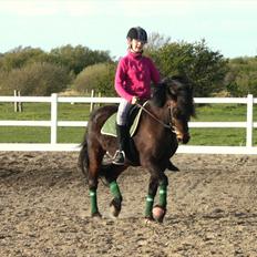 Anden særlig race Ponyo chusteau <3<3