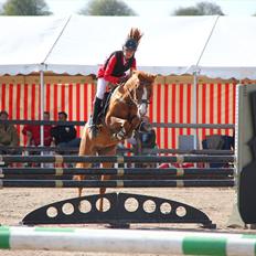 Hollandsk Sportspony Orchid´s Mirabile<3 A-pony