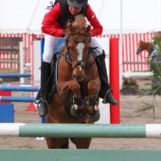 Anden særlig race Bakkegaardens Bailey<3 A-pony