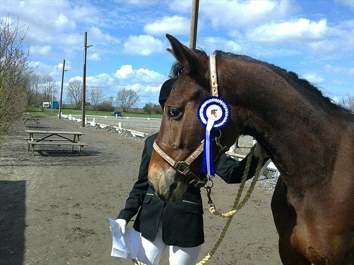 Anden særlig race Lindhovedgårdens Mona billede 5