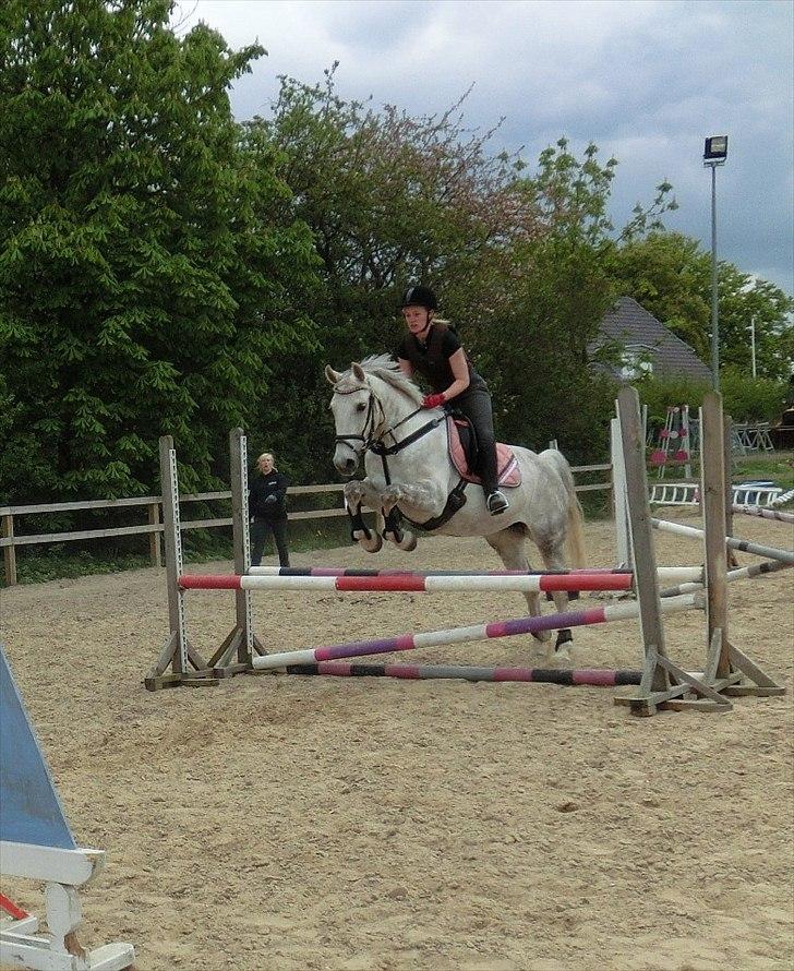 Anden særlig race Stella  - anden gang jeg springer med Stella<3  billede 2