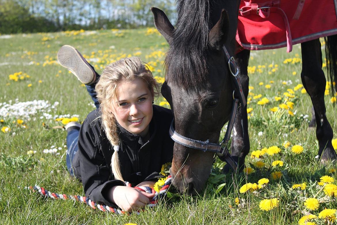 Hollandsk Sportspony Egano. - This is the part of me, that you’re never gonna ever take away from me ♥ billede 5