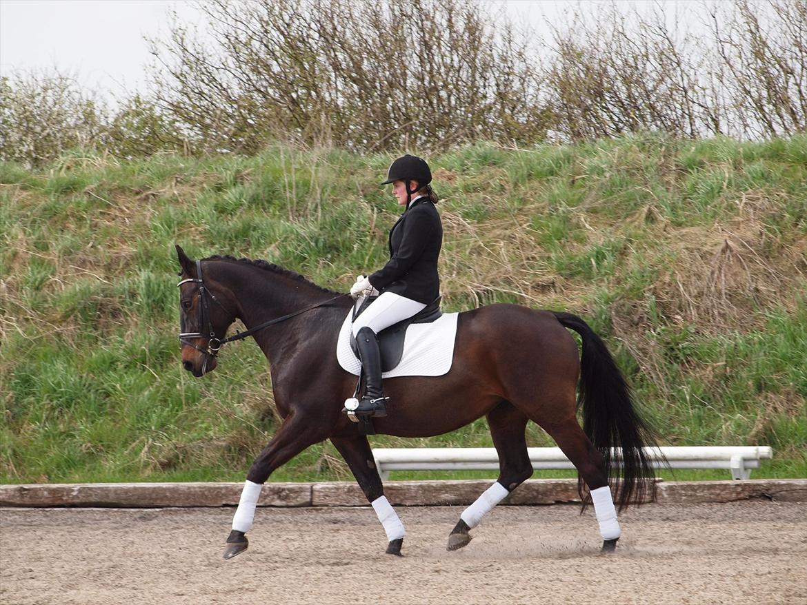 Oldenborg Lady billede 9