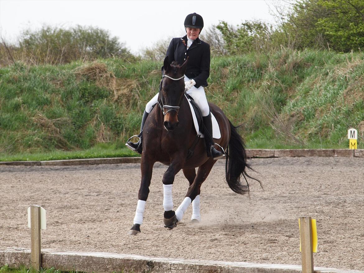 Oldenborg Lady billede 10