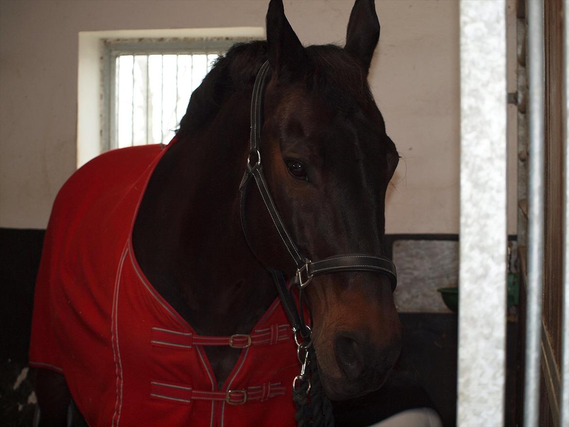 Oldenborg Lady billede 1