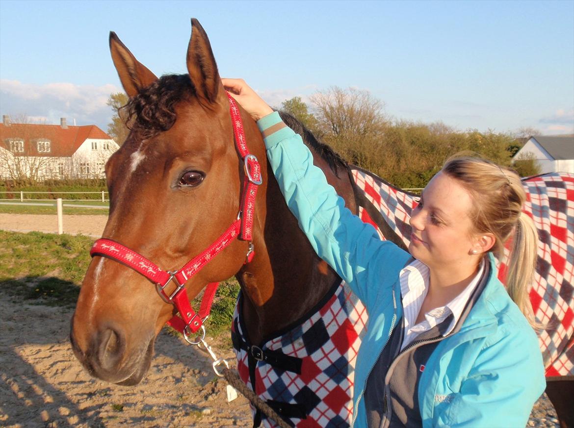 Dansk Varmblod Møllgårds Miss World Himmelhest - Forårs hygge d. 7maj 2012. <3  billede 6