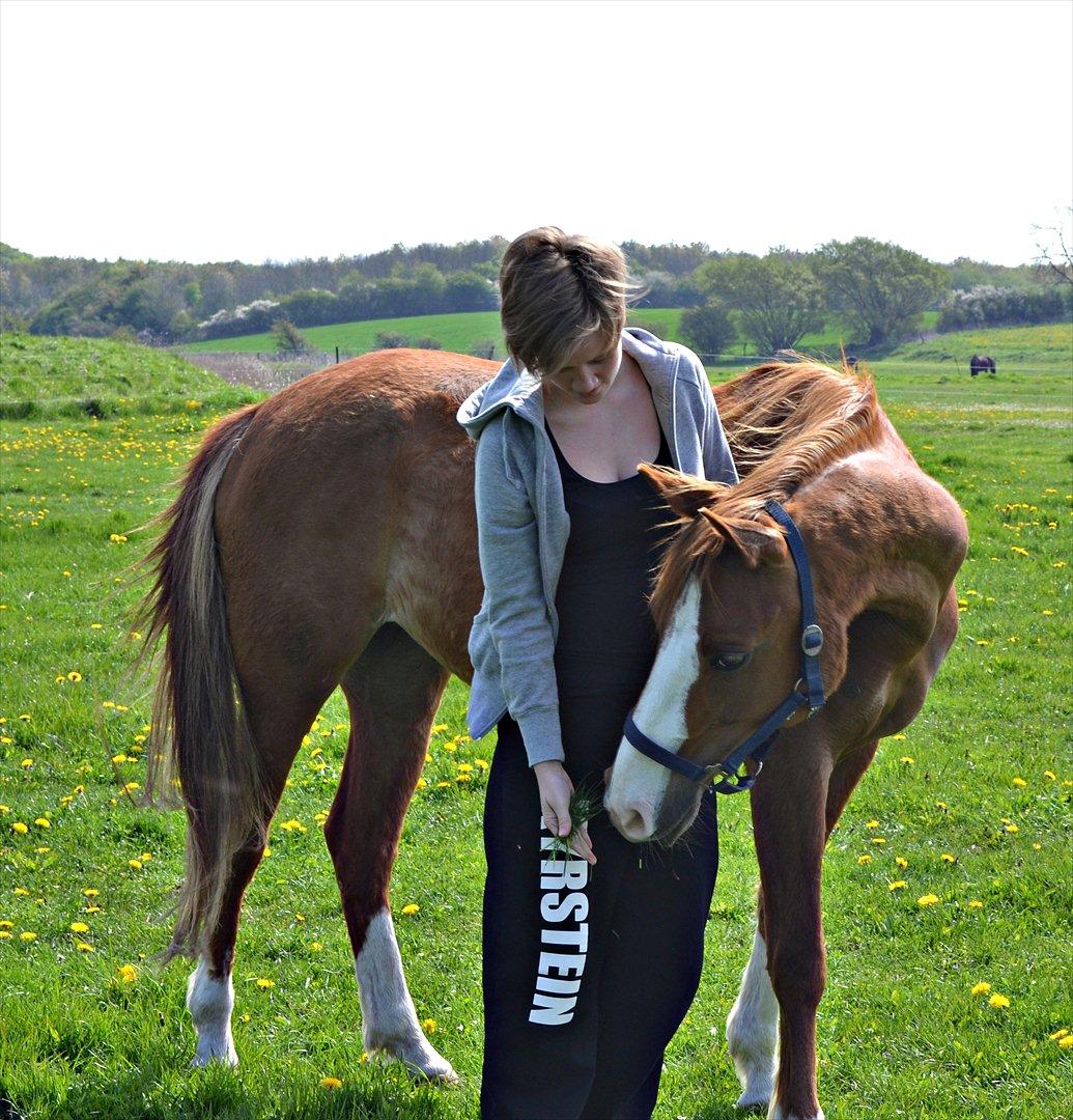 Anden særlig race Aichah - 8. Maj 2012 - elsker dig min pige<3 billede 14