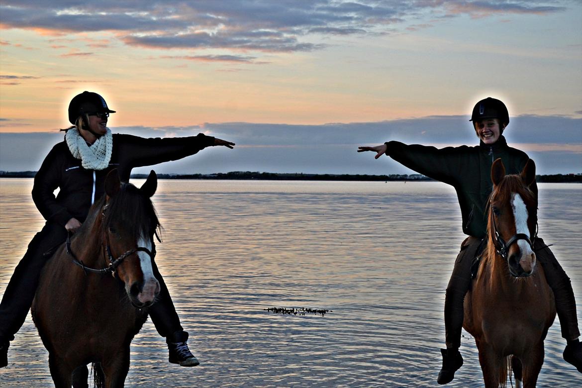 Anden særlig race Aichah - 6. Maj 2012 - Sammen med vores makkerpar Celeste og Maja<3 billede 12