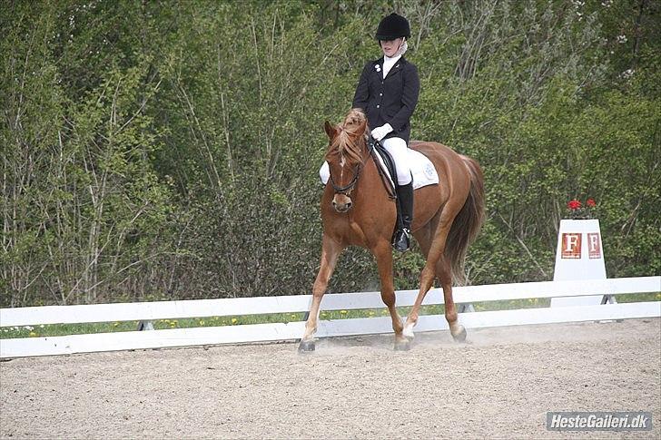 DSP Larsmindes Filanté - LB i Hjallerup. 
Foto : Pernille Hansen billede 5