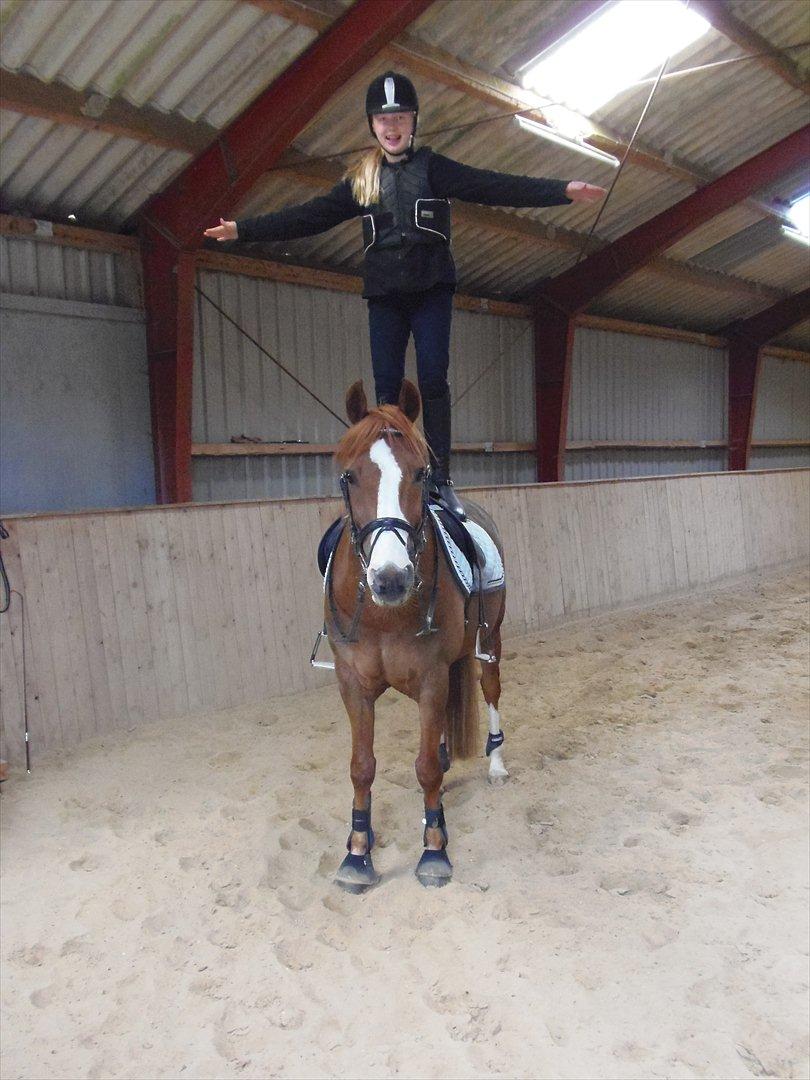 Anden særlig race Mon Cheri<3 - I be lev i can fly!:D i love you!:D billede 15