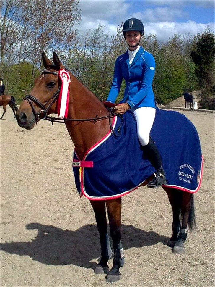 Anden særlig race Aktiv Junior (Lånehest) - Vinder af Box4rent 1. kval 2012 billede 20