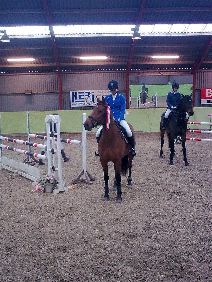 Anden særlig race Aktiv Junior (Lånehest) billede 19