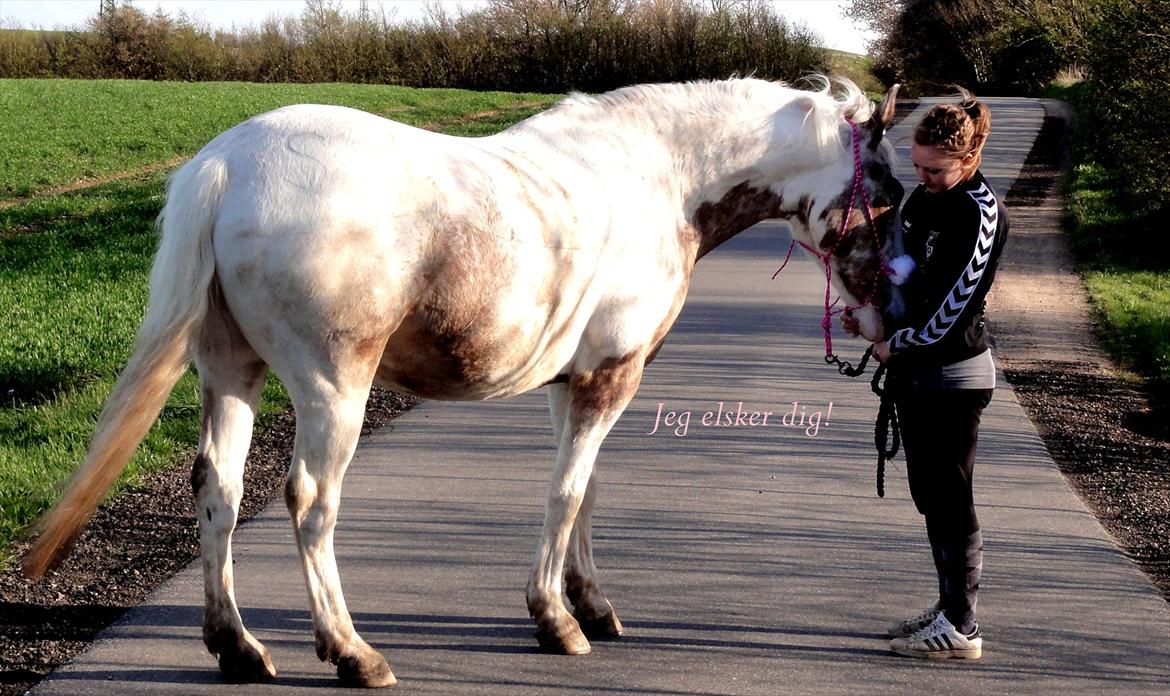 Anden særlig race MR MARTIN - 'I know I'm lost. But as long I´m lost in you, I'll be just fine..  billede 18