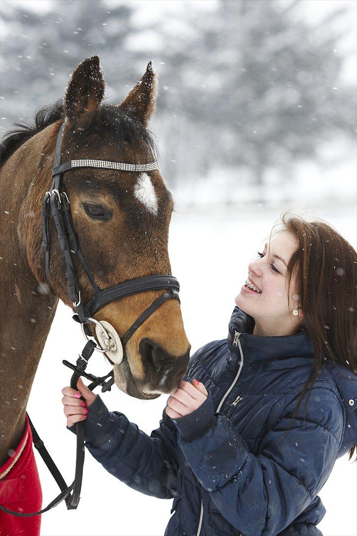 Anden særlig race Moonlight! (solgt) :-( - 5) Januar 2012 Fotoshoot med fotograf Jan Korsgaard. 
- Allerbedsteste Moonlight <3    billede 5
