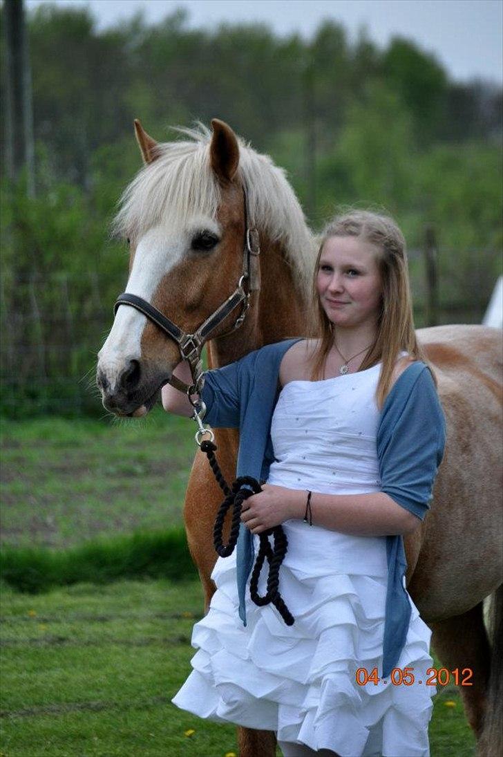 Anden særlig race Pablo - Konfirmation <3<3<3 billede 3