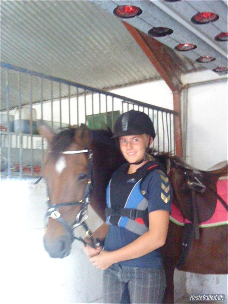 Pinto Kamille billede 4