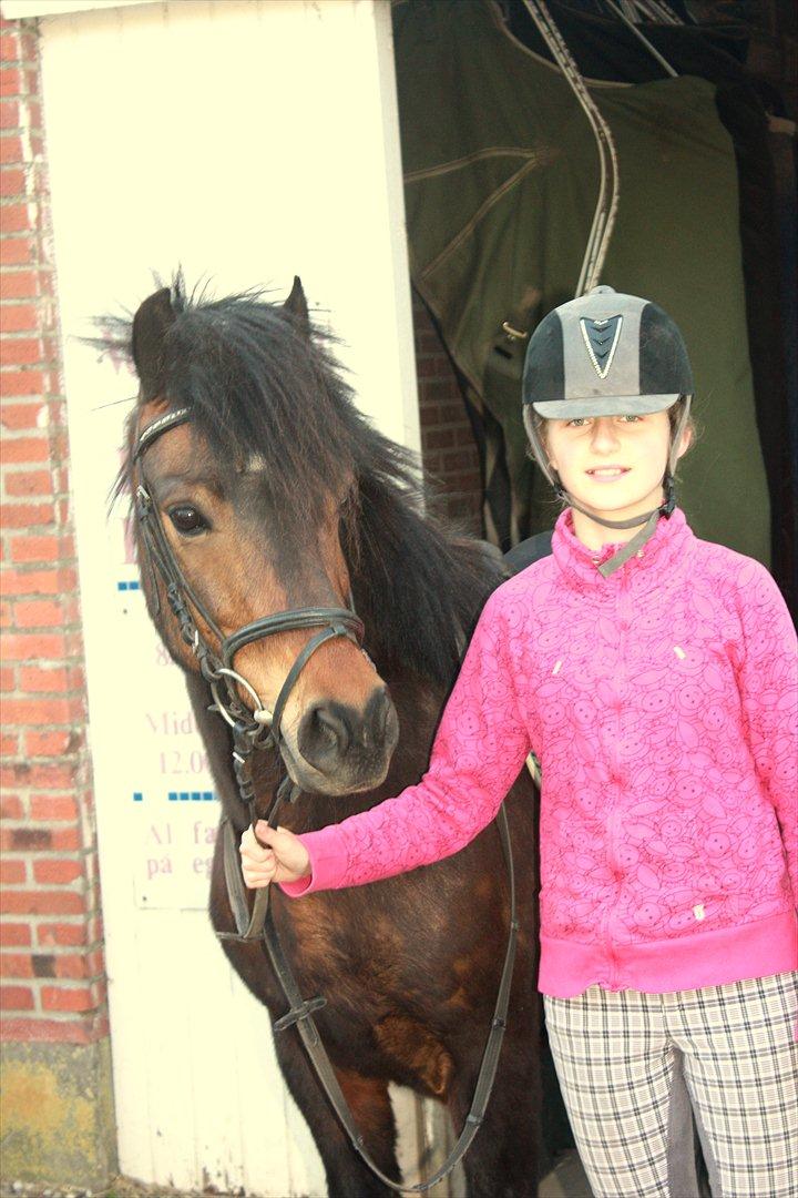 Anden særlig race Ponyo chusteau <3<3 billede 1